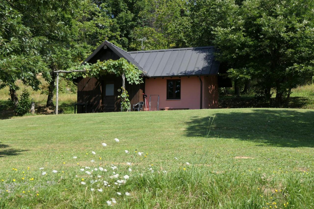 Agriturismo Braccicorti Pieve Fosciana المظهر الخارجي الصورة