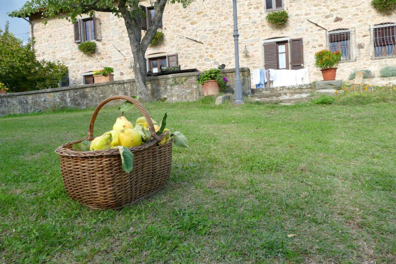 Agriturismo Braccicorti Pieve Fosciana المظهر الخارجي الصورة