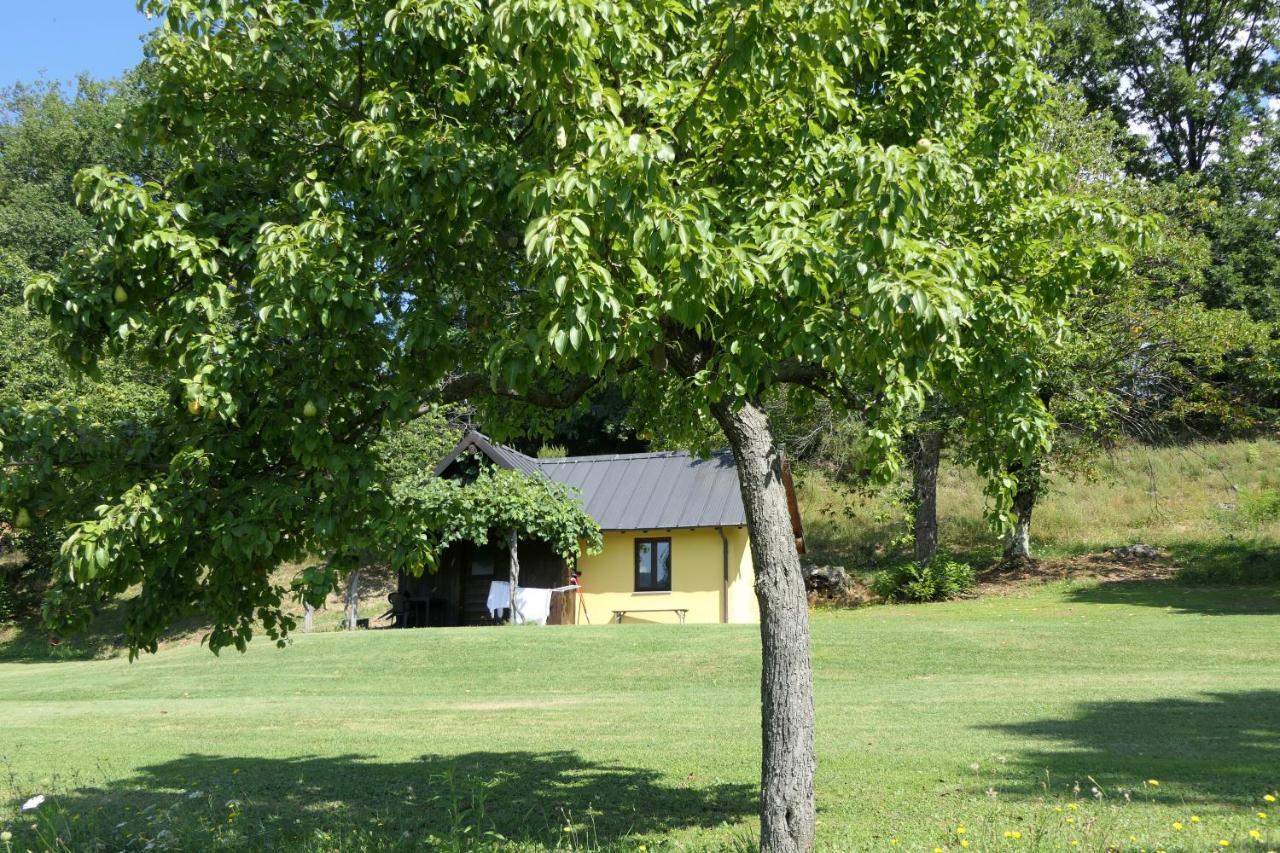 Agriturismo Braccicorti Pieve Fosciana المظهر الخارجي الصورة