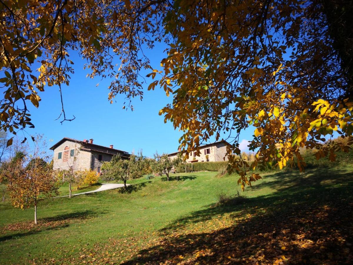 Agriturismo Braccicorti Pieve Fosciana المظهر الخارجي الصورة