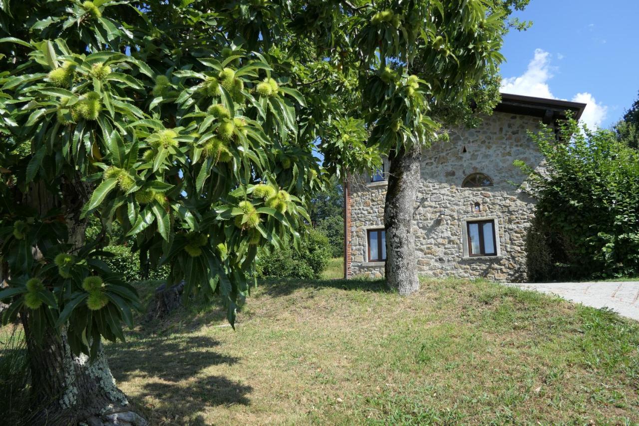 Agriturismo Braccicorti Pieve Fosciana المظهر الخارجي الصورة