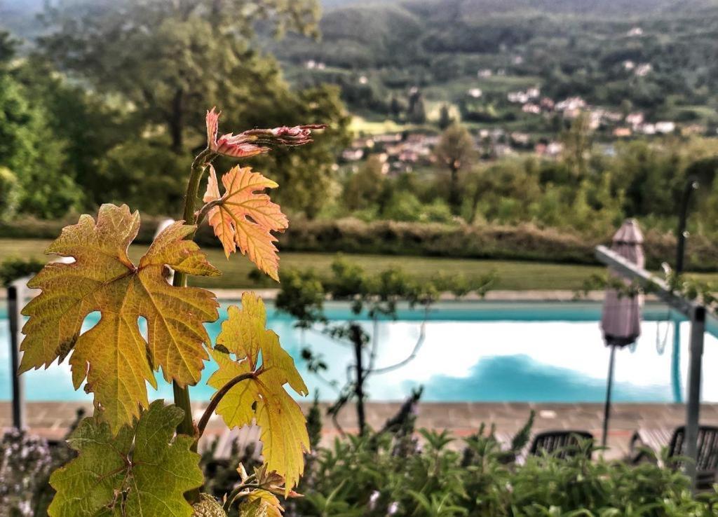 Agriturismo Braccicorti Pieve Fosciana المظهر الخارجي الصورة