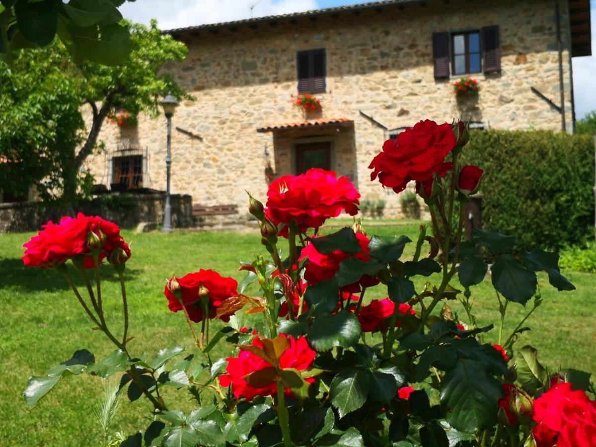 Agriturismo Braccicorti Pieve Fosciana المظهر الخارجي الصورة
