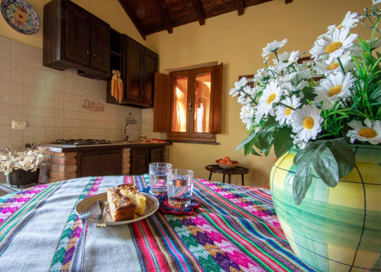 Agriturismo Braccicorti Pieve Fosciana المظهر الخارجي الصورة