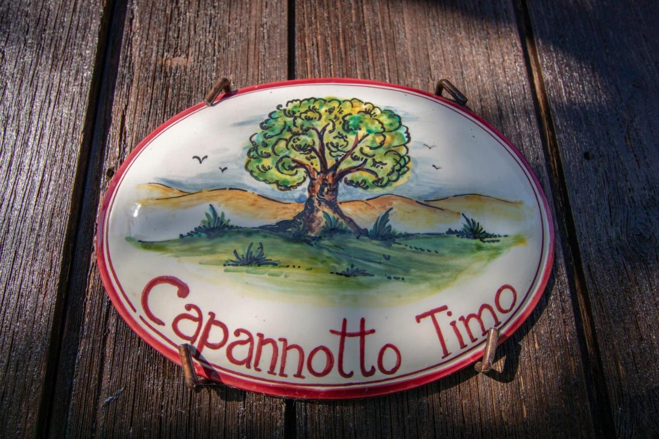 Agriturismo Braccicorti Pieve Fosciana المظهر الخارجي الصورة