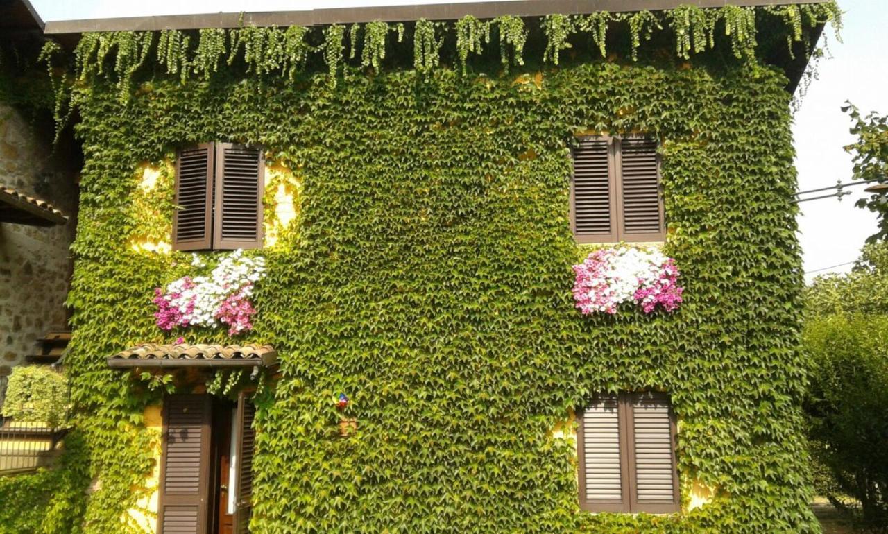 Agriturismo Braccicorti Pieve Fosciana المظهر الخارجي الصورة